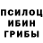 Галлюциногенные грибы мухоморы MsKaty