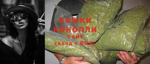 амф Горнозаводск