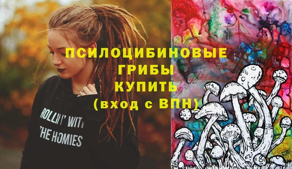 стаф Гусиноозёрск