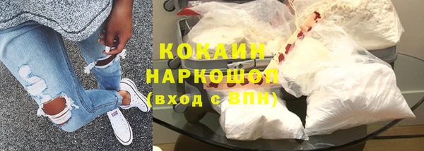 apvp Гусев