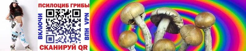 Псилоцибиновые грибы MAGIC MUSHROOMS  Можайск 