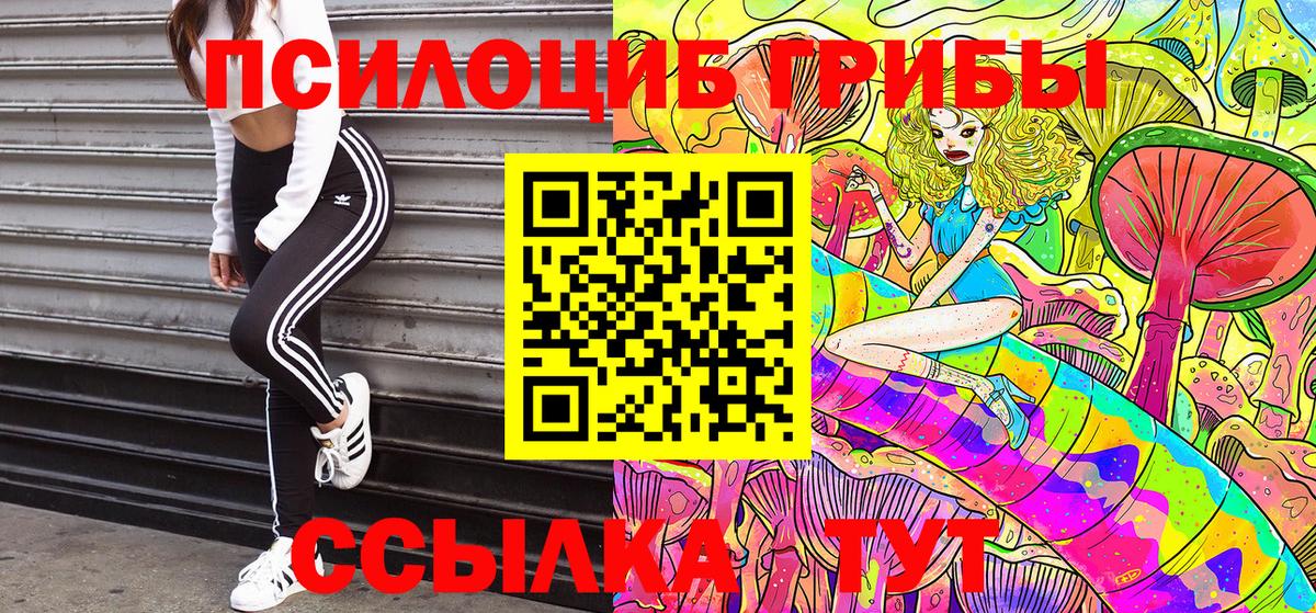 Псилоцибиновые грибы GOLDEN TEACHER Можайск